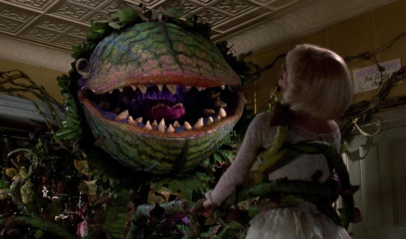 Audrey II from