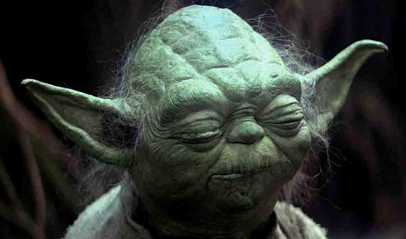 Yoda looking all disappointed because Luke sucks