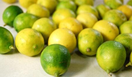 Key limes