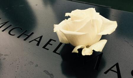 Single white rose at the Sept. 11 memorial.